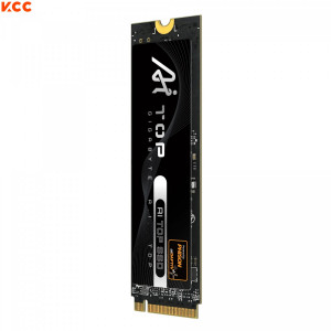 Ổ cứng SSD Gigabyte AI TOP 100E M.2 NVMe 2TB (AI100E2TB)