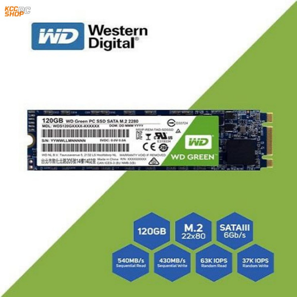 Ổ cứng SSD WD Green 120GB M.2 2280 (Đọc 545MB/s - Ghi 430MB/s) - (WDS120G2G0B)