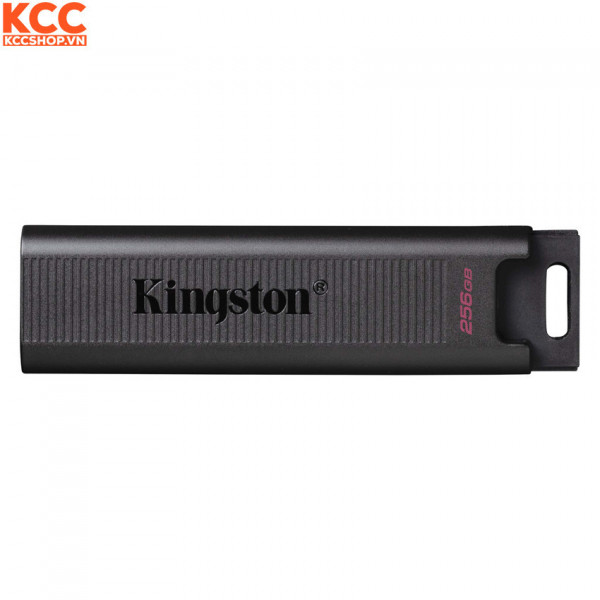 USB Kingston Data Traveler Max 256GB Type C (DTMAX/256GB)