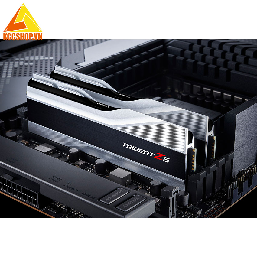 Ram G.Skill Ripjaws TZ5 32GB (2x16GB) DDR5-5600MHz ( F5-5600U3636C16GX2-TZ5S )