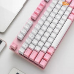 Bàn phím cơ gaming Rapoo V500Pro Pink White (V500Pro Pink White)