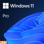 Hệ điều hành WINDOWS 11 PRO 64BIT ENG INTL 1PK DSP OEI DVD (FQC-10528)