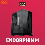 Vỏ Case XIGMATEK ENDORPHIN M (EN41389) - GAMING M-ATX